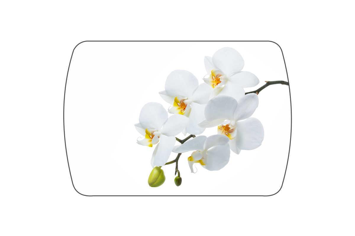 Стол обеденный Танго (фотопечать) цвет Белый/Орхидея