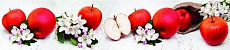 Кухонный фартук SP 128 красные яблоки
