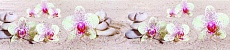 Кухонный фартук SP 127 орхидеи на песке